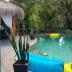 Homestay in Ferny Grove