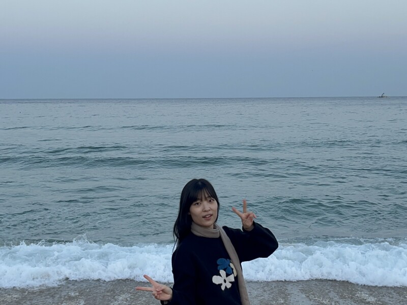 Seung, Korea South, student, $350 per week