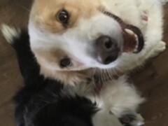 Homestay in Gordon Park