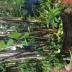 Homestay in Palm Cove
