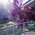 Homestay in Bruce