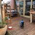 Homestay in Elsternwick