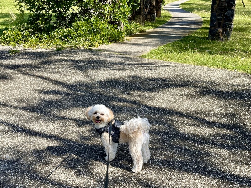 Our best friend Dwayne 