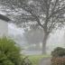 Homestay in Rowville