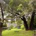 Homestay in Ivanhoe East