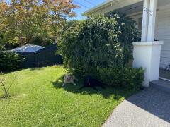 Homestay in Ormond