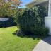 Homestay in Ormond