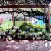 Homestay in Templestowe