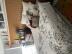 Homestay in Williamstown