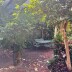 Homestay in Dingley Village
