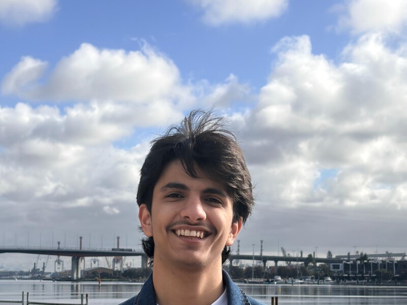 Asim Alhashmi 