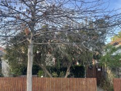 Homestay in Caulfield South