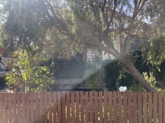 Homestay in Caulfield South