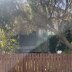 Homestay in Caulfield South