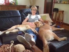 Homestay in Hampton