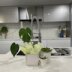 Homestay in Maidstone