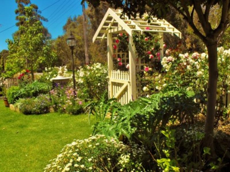 Front garden