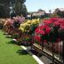 Homestay in Wellard