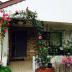 Homestay in Kensington