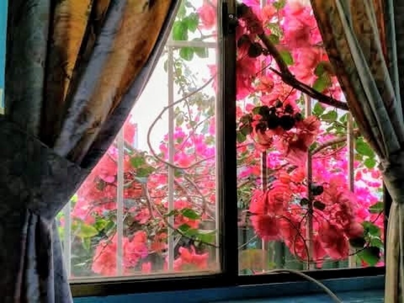Homestay in Lakemba