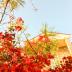 Homestay in Granville