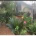 Homestay in Menai