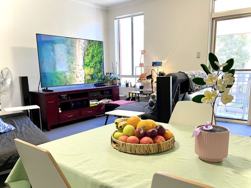 Part of the Living Room. Huge TV with suround sound and every streaming service. 