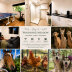 Homestay in Grose Wold