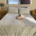 Homestay in Bondi Junction
