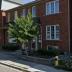 Homestay in Toronto, Junction ar