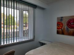 Homestay in Toronto 