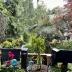 Homestay in Richmond