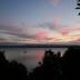 Homestay in Auckland