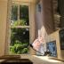 Homestay in Auckland