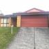 Homestay in Auckland City