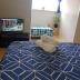 Homestay in Auckland City