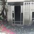 Homestay in Auckland