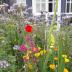 Homestay in Auckland