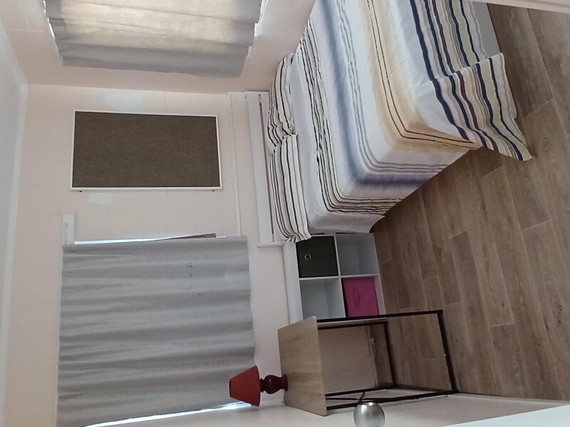 Mount Eden, Auckland, Auckland, New Zealand Homestay