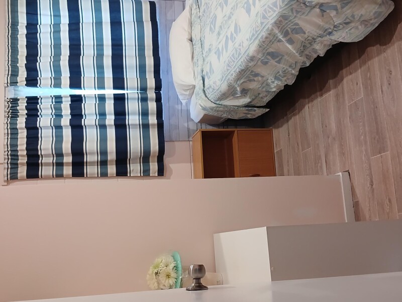 Mount Eden, Auckland, Auckland, New Zealand Homestay