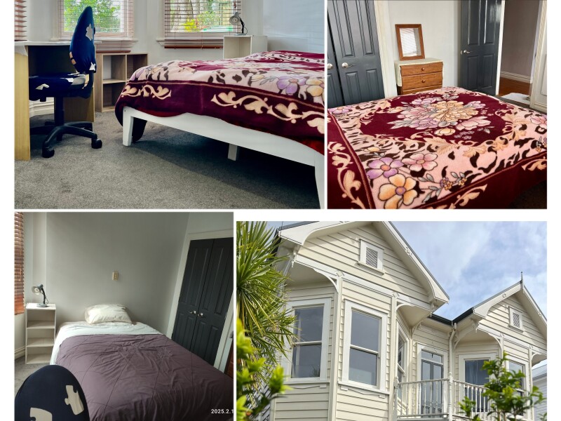 Grey Lynn, Auckland City, Auckland, Auckland, New Zealand Homestay