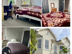 Homestay in Auckland City