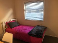 Homestay in Auckland City