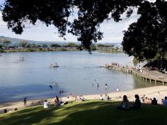 Homestay in Auckland