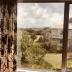 Homestay in Remuera 
