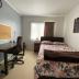 Homestay in Auckland City