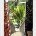 Homestay in Grey Lynn 