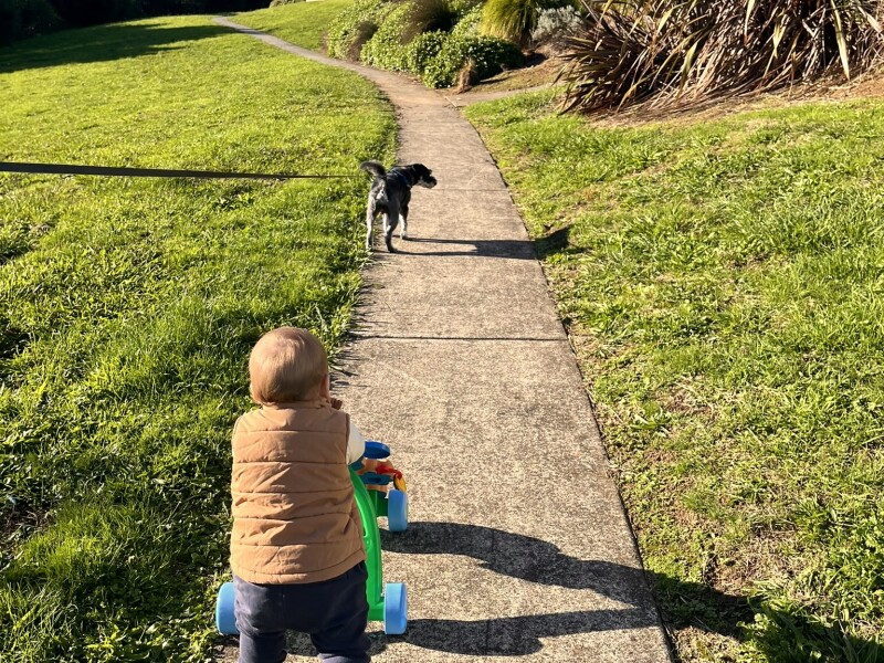 Out walking at the park