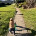 Homestay in Pōkeno