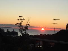Homestay in Auckland